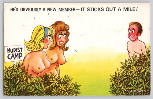 Bamforth comic nudist - , new