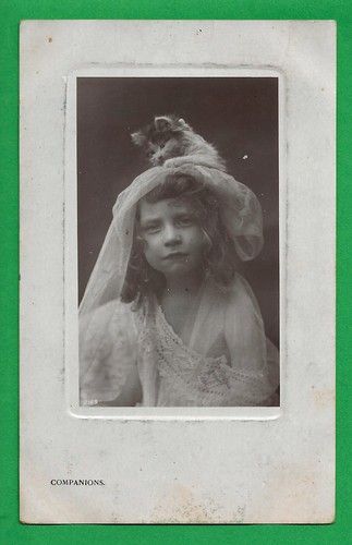 Companions 1908 bamforth - ,